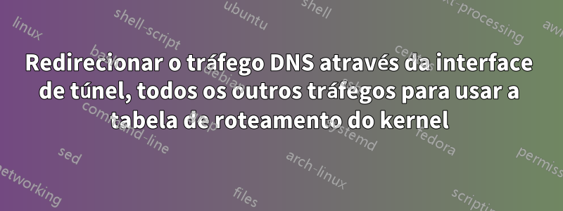 Redirecionar o tráfego DNS através da interface de túnel, todos os outros tráfegos para usar a tabela de roteamento do kernel