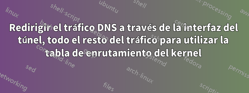 Redirigir el tráfico DNS a través de la interfaz del túnel, todo el resto del tráfico para utilizar la tabla de enrutamiento del kernel