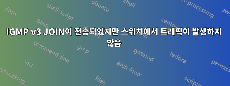 IGMP v3 JOIN이 전송되었지만 스위치에서 트래픽이 발생하지 않음