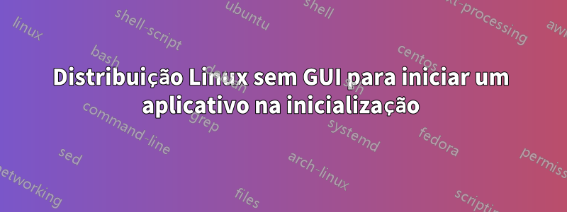 Distribuição Linux sem GUI para iniciar um aplicativo na inicialização