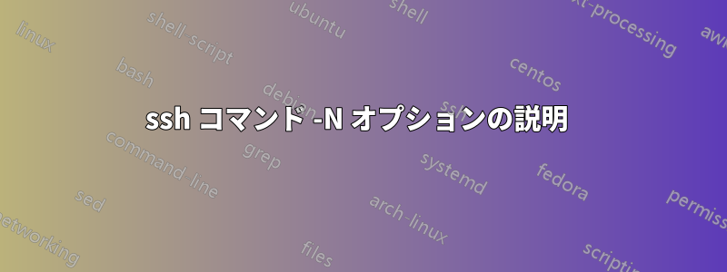 ssh コマンド -N オプションの説明 