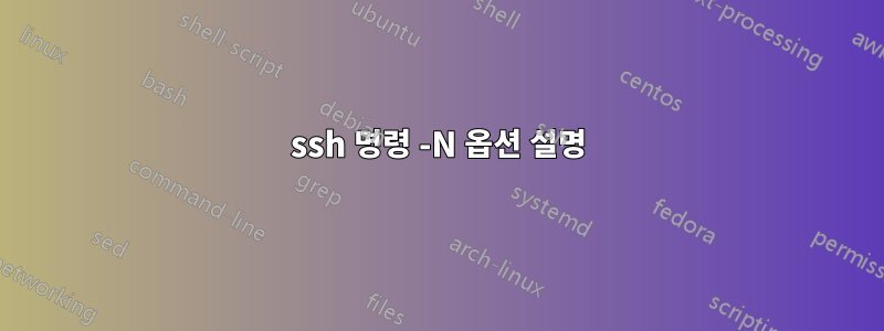 ssh 명령 -N 옵션 설명