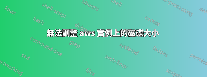 無法調整 aws 實例上的磁碟大小