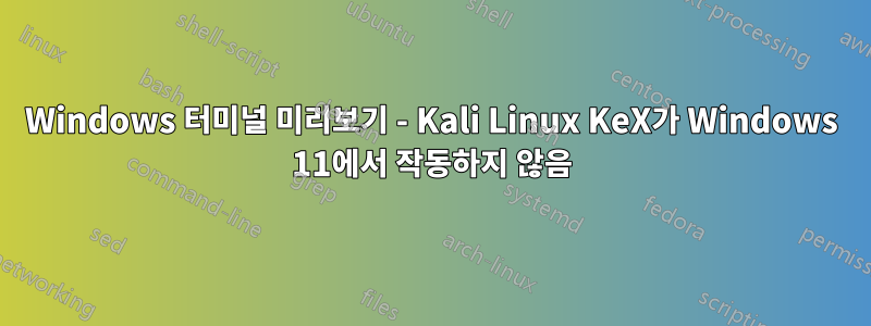 Windows 터미널 미리보기 - Kali Linux KeX가 Windows 11에서 작동하지 않음