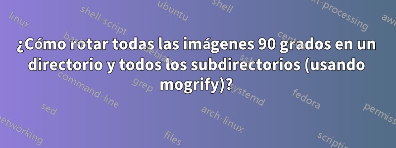 ¿Cómo rotar todas las imágenes 90 grados en un directorio y todos los subdirectorios (usando mogrify)?