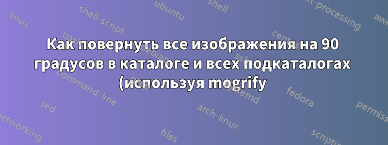 Как повернуть все изображения на 90 градусов в каталоге и всех подкаталогах (используя mogrify)?