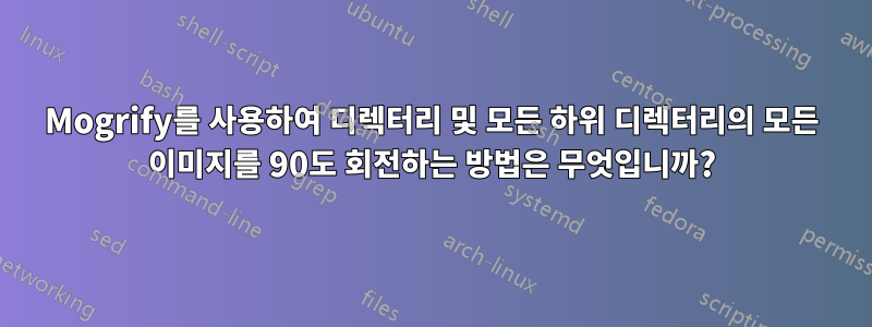 Mogrify를 사용하여 디렉터리 및 모든 하위 디렉터리의 모든 이미지를 90도 회전하는 방법은 무엇입니까?