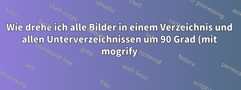 Wie drehe ich alle Bilder in einem Verzeichnis und allen Unterverzeichnissen um 90 Grad (mit mogrify)?