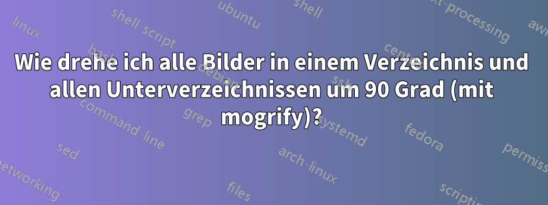 Wie drehe ich alle Bilder in einem Verzeichnis und allen Unterverzeichnissen um 90 Grad (mit mogrify)?