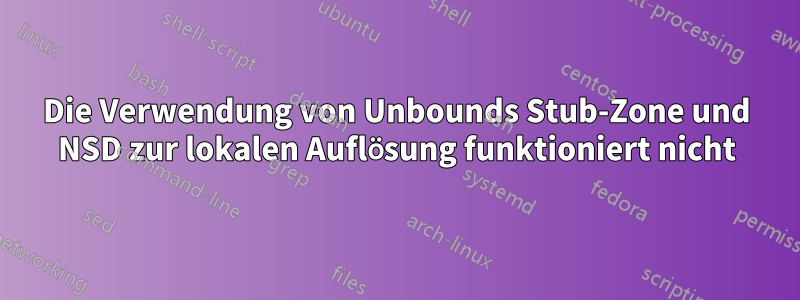 Die Verwendung von Unbounds Stub-Zone und NSD zur lokalen Auflösung funktioniert nicht