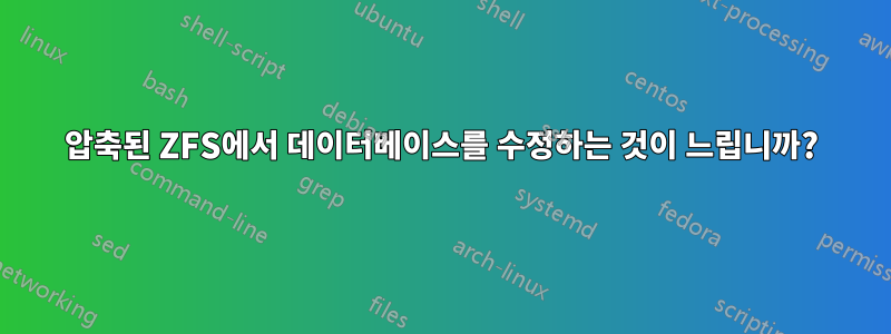 압축된 ZFS에서 데이터베이스를 수정하는 것이 느립니까?