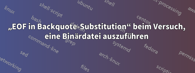 „EOF in Backquote-Substitution“ beim Versuch, eine Binärdatei auszuführen