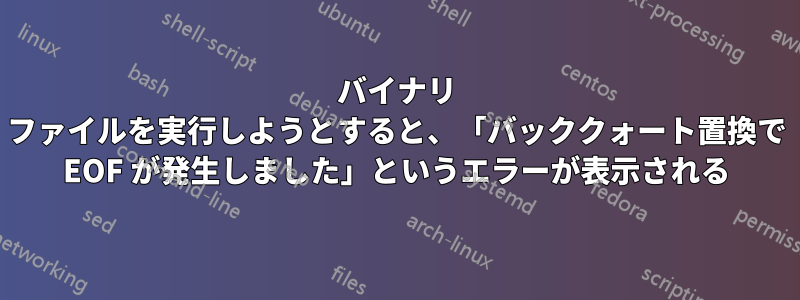 バイナリ ファイルを実行しようとすると、「バッククォート置換で EOF が発生しました」というエラーが表示される