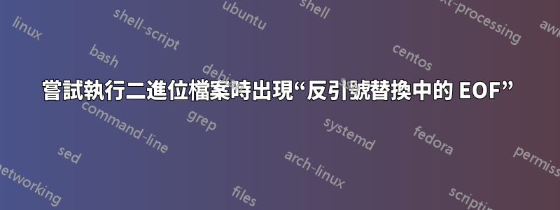 嘗試執行二進位檔案時出現“反引號替換中的 EOF”