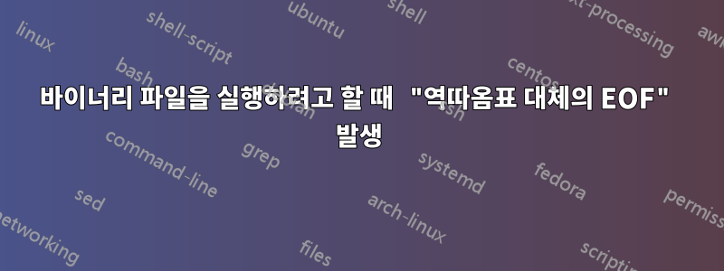 바이너리 파일을 실행하려고 할 때 "역따옴표 대체의 EOF" 발생