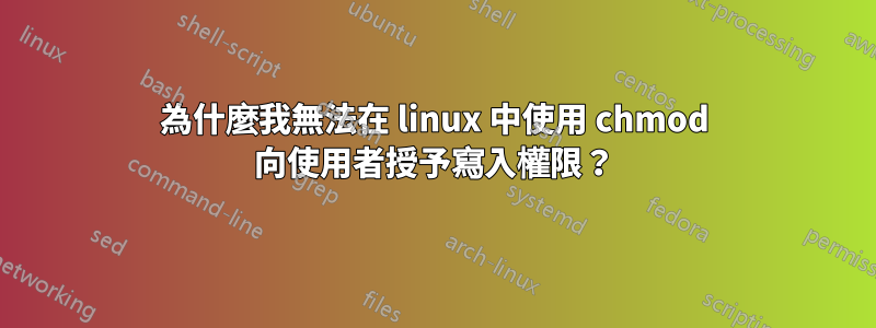 為什麼我無法在 linux 中使用 chmod 向使用者授予寫入權限？