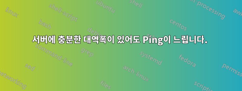 서버에 충분한 대역폭이 있어도 Ping이 느립니다.