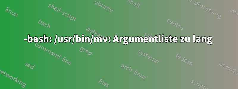 -bash: /usr/bin/mv: Argumentliste zu lang