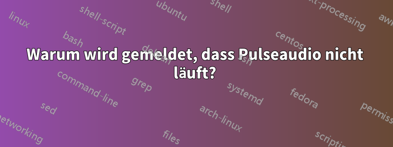 Warum wird gemeldet, dass Pulseaudio nicht läuft?