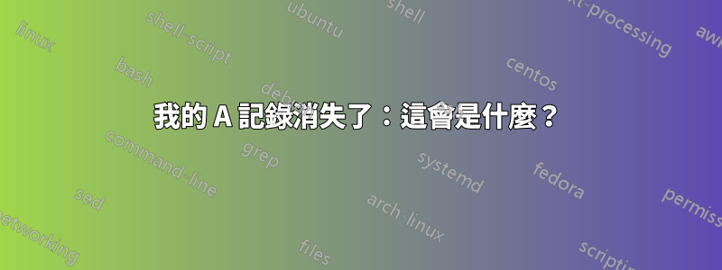 我的 A 記錄消失了：這會是什麼？