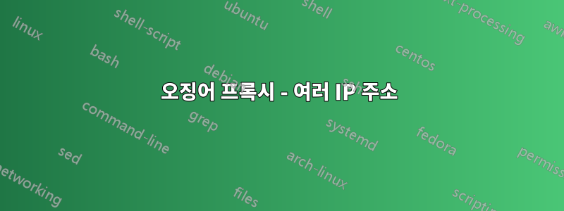 오징어 프록시 - 여러 IP 주소