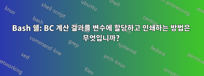 Bash 쉘: BC 계산 결과를 변수에 할당하고 인쇄하는 방법은 무엇입니까?