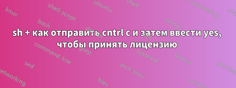 sh + как отправить cntrl c и затем ввести yes, чтобы принять лицензию