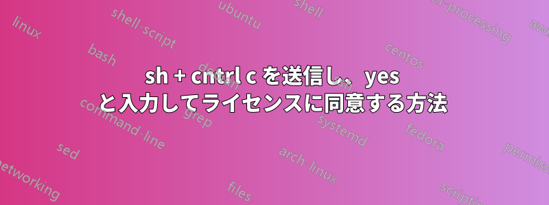 sh + cntrl c を送信し、yes と入力してライセンスに同意する方法