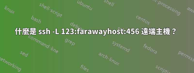 什麼是 ssh -L 123:farawayhost:456 遠端主機？