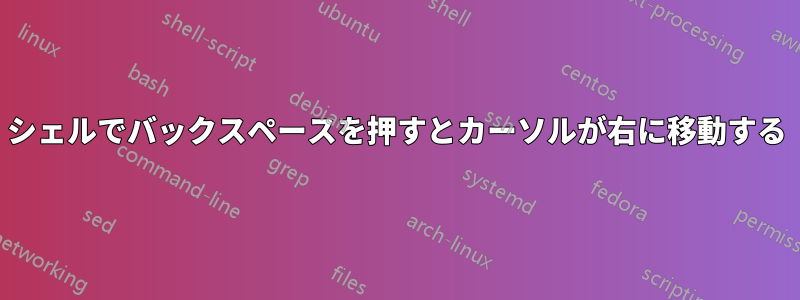 シェルでバックスペースを押すとカーソルが右に移動する