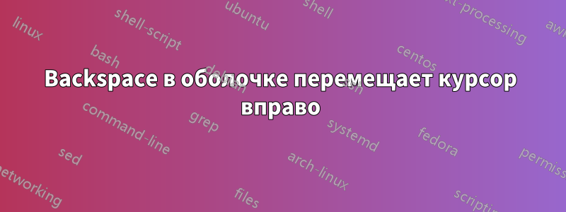 Backspace в оболочке перемещает курсор вправо