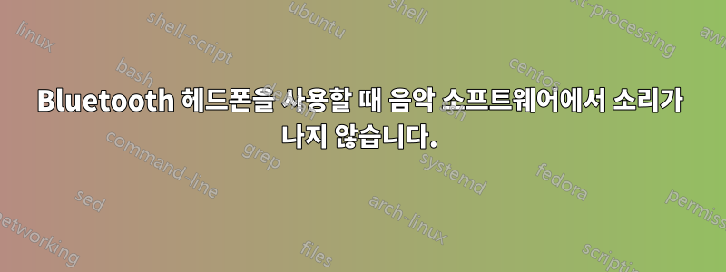 Bluetooth 헤드폰을 사용할 때 음악 소프트웨어에서 소리가 나지 않습니다.