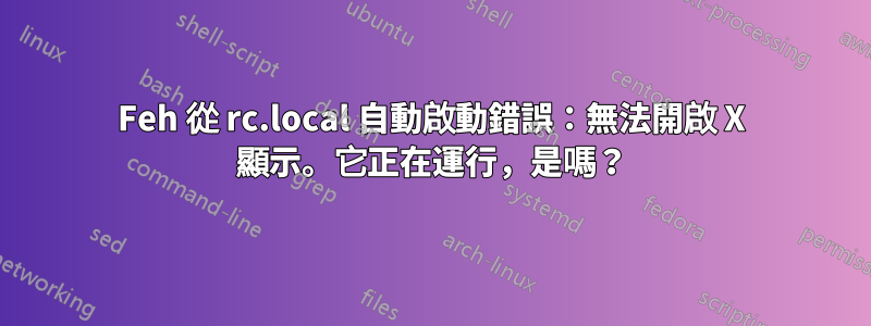 Feh 從 rc.local 自動啟動錯誤：無法開啟 X 顯示。它正在運行，是嗎？