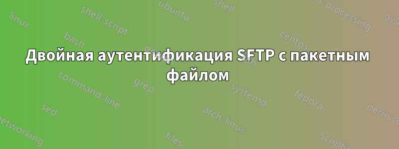 Двойная аутентификация SFTP с пакетным файлом