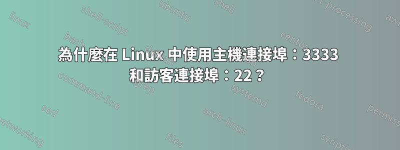 為什麼在 Linux 中使用主機連接埠：3333 和訪客連接埠：22？