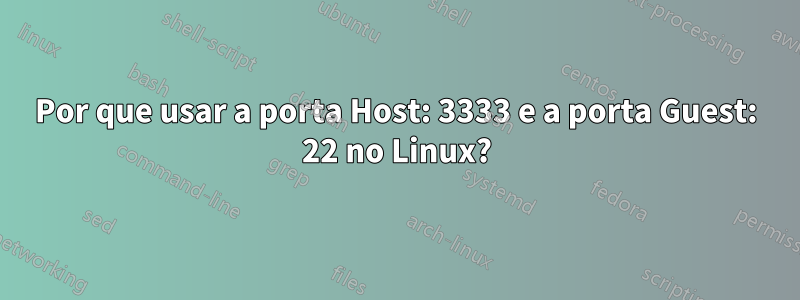 Por que usar a porta Host: 3333 e a porta Guest: 22 no Linux?