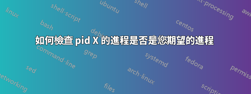 如何檢查 pid X 的進程是否是您期望的進程