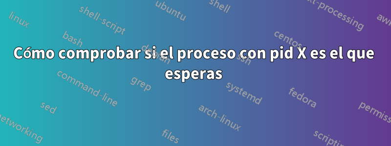 Cómo comprobar si el proceso con pid X es el que esperas