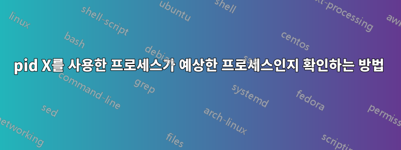 pid X를 사용한 프로세스가 예상한 프로세스인지 확인하는 방법