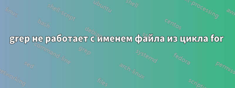 grep не работает с именем файла из цикла for