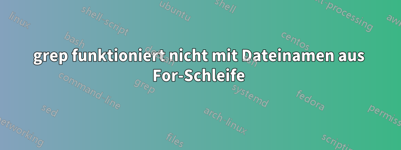 grep funktioniert nicht mit Dateinamen aus For-Schleife