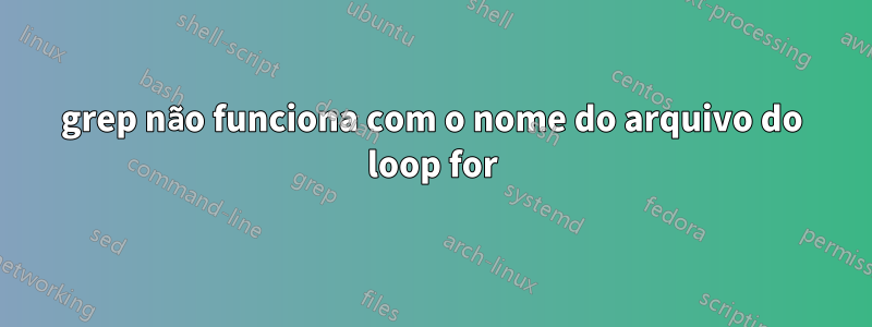 grep não funciona com o nome do arquivo do loop for