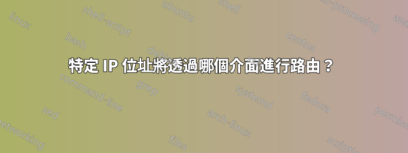 特定 IP 位址將透過哪個介面進行路由？