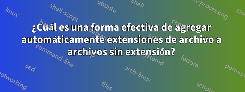 ¿Cuál es una forma efectiva de agregar automáticamente extensiones de archivo a archivos sin extensión?