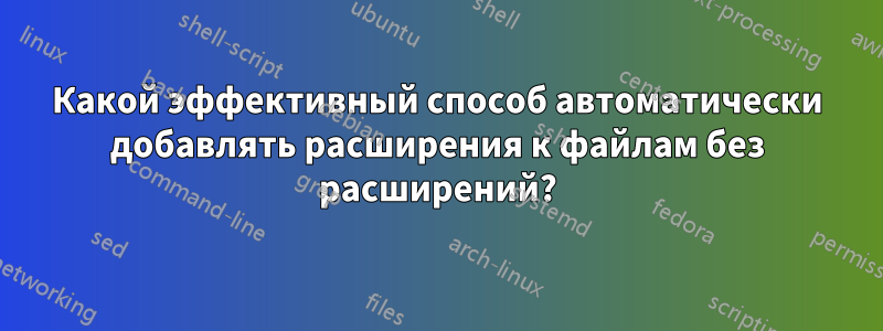 Какой эффективный способ автоматически добавлять расширения к файлам без расширений?