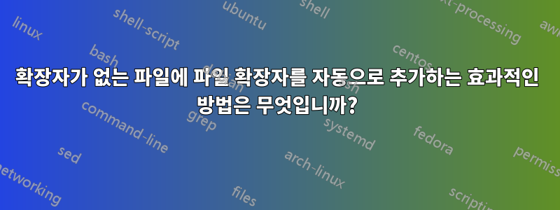 확장자가 없는 파일에 파일 확장자를 자동으로 추가하는 효과적인 방법은 무엇입니까?