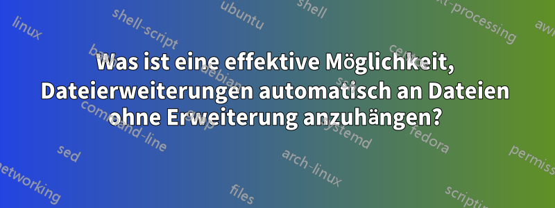 Was ist eine effektive Möglichkeit, Dateierweiterungen automatisch an Dateien ohne Erweiterung anzuhängen?