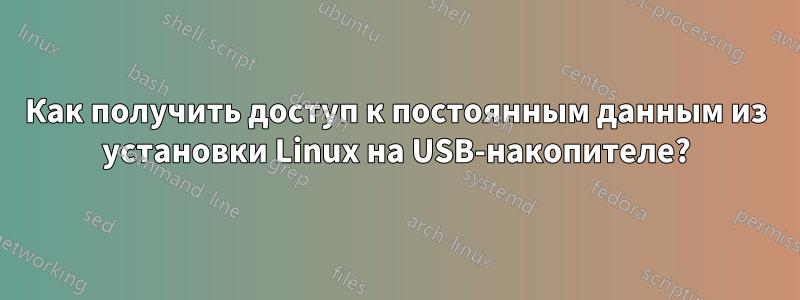 Как получить доступ к постоянным данным из установки Linux на USB-накопителе?