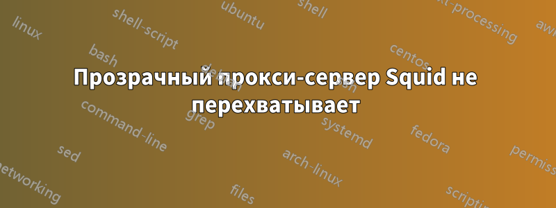 Прозрачный прокси-сервер Squid не перехватывает