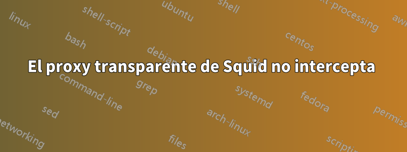 El proxy transparente de Squid no intercepta